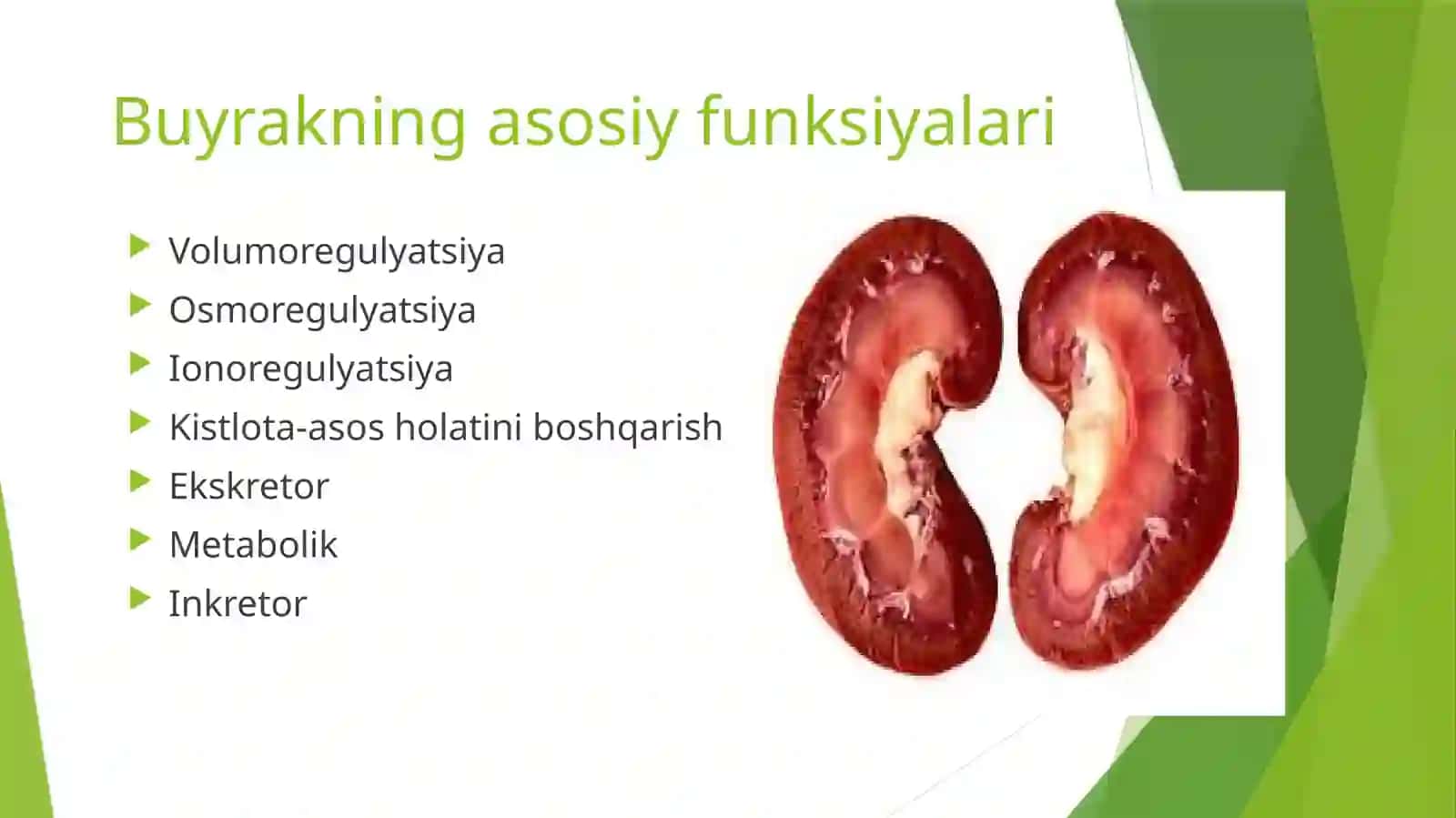 Bolalarda siydik ajratish tizimi anatomo-fiziologik xususiyatlari 4
