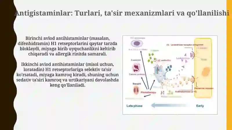 Immunitetga tasir etuvchi moddalar. Alergiyaga qarshi vositalar (farmakalogiyadan) 4