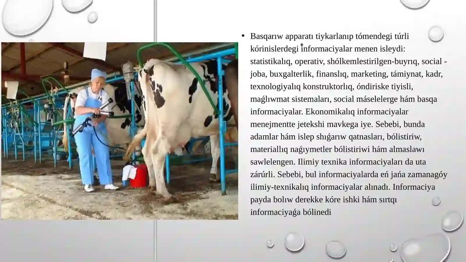 Sharwashiliqta menedjment ham islep shiǵariwdi shólkemlestiriw 4