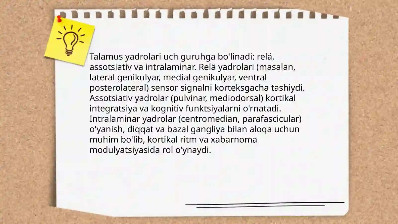 Oraliq miyaning funksional anatomiyasi 4
