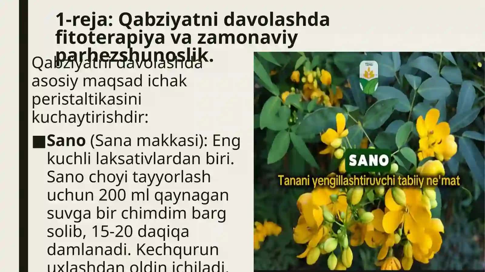 Qabziyat, ich ketish sindromlarida xalq tabobatidagi zamonaviy integratsiyasi 4