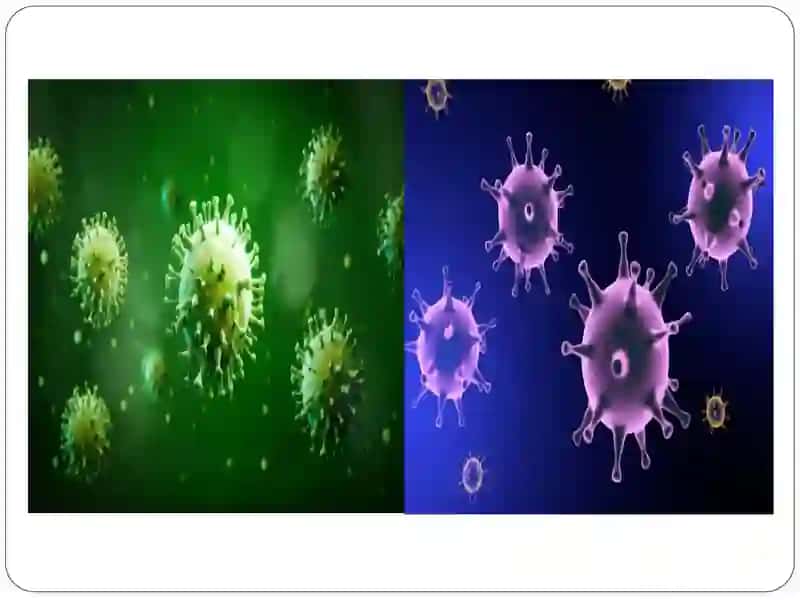 Havo-Tomchi Yo'li Orqali Yuquvchi Infeksiya (Corynebacteriya, Mycobacteriya) 4