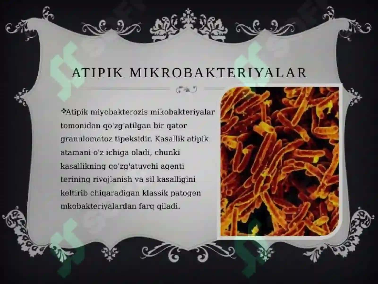 DI_24/03-guruhtalabasi 4