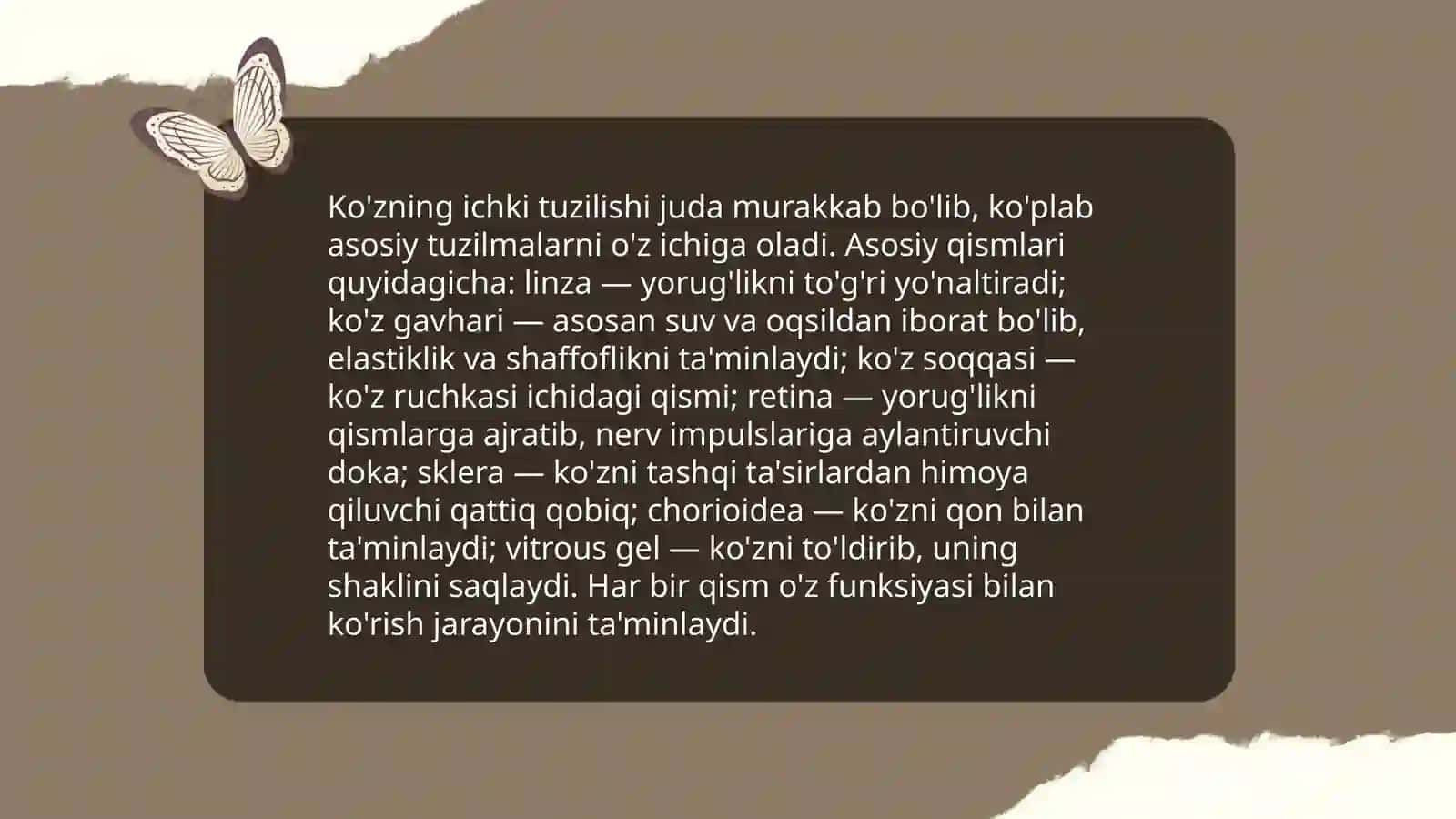 Ko'rish analizatori anatomiyasi va fiziologiyasi 4