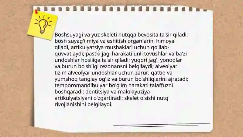 Inson nutq tizimi anatomiyasi 4
