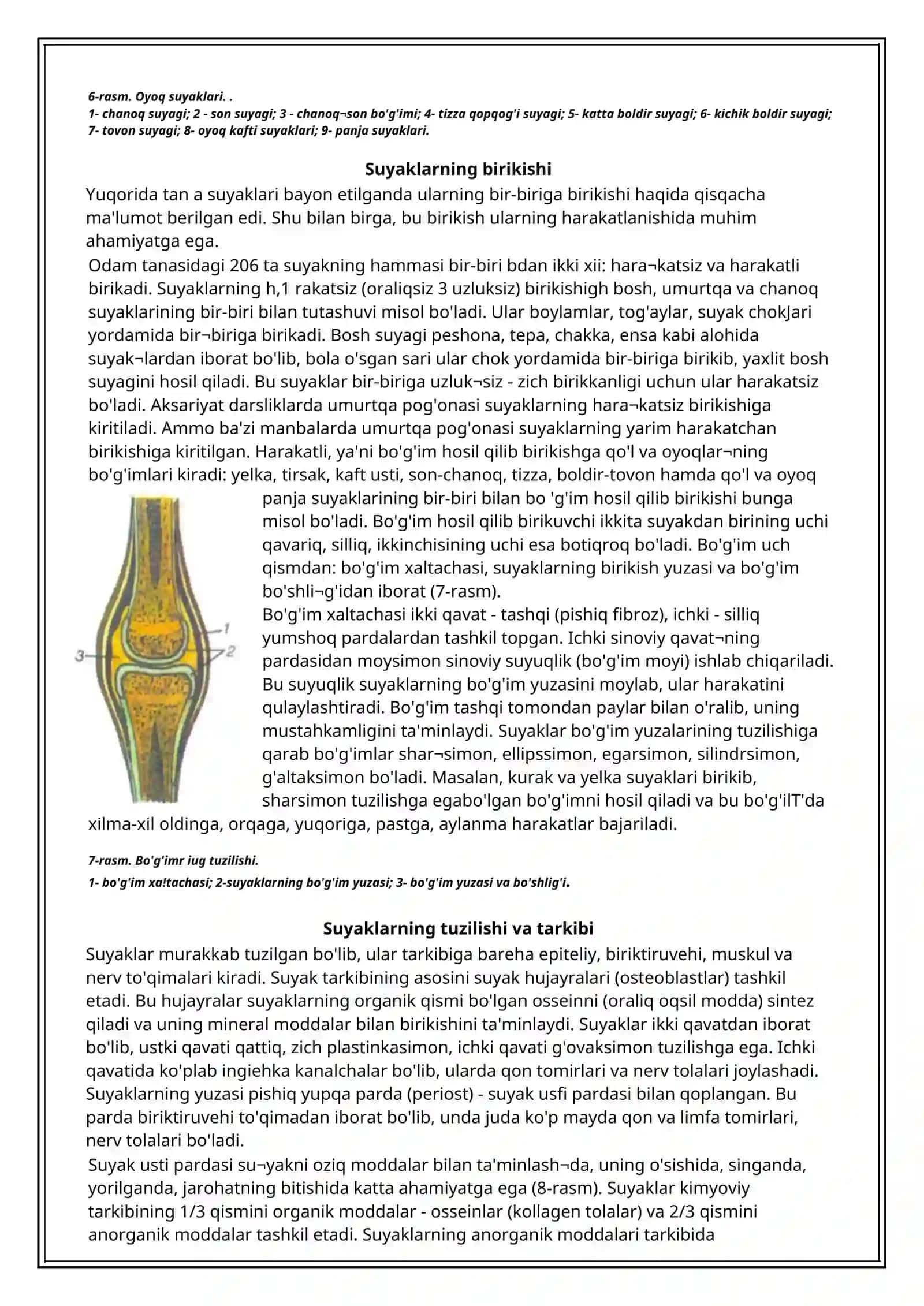 Suyak sistemasi. Odam skeleti 4