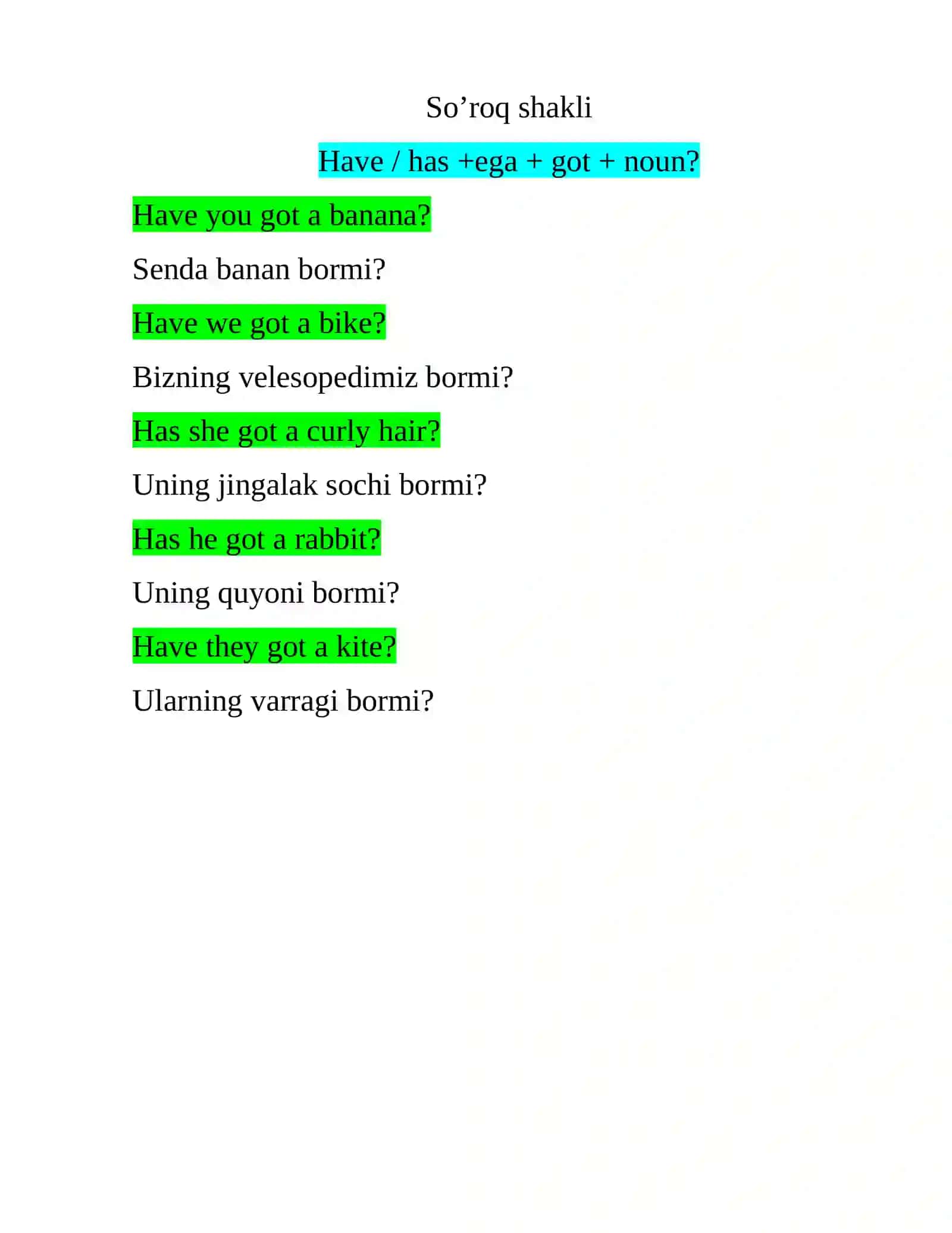 HAVE /HAVE GOT 4