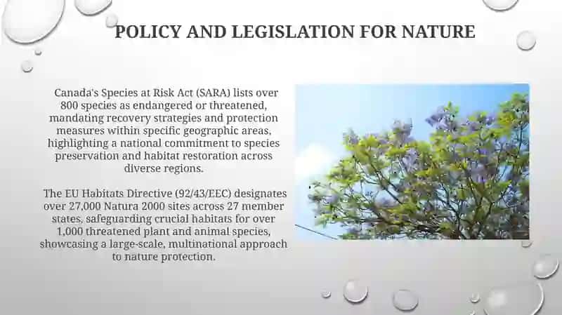 Protecting nature 4