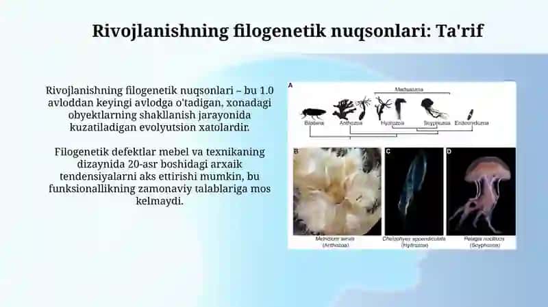 Odamdarivojlanishningfilogenetiknuqsonlari 4