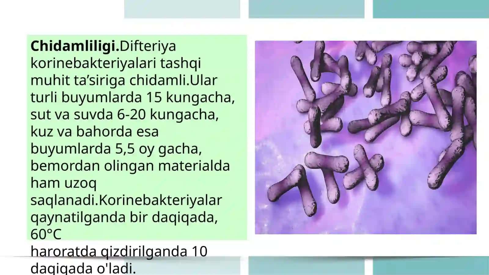 Havo tomchi infeksiyasi bogʻma koʻk yoʻtal sil tasnifi 4