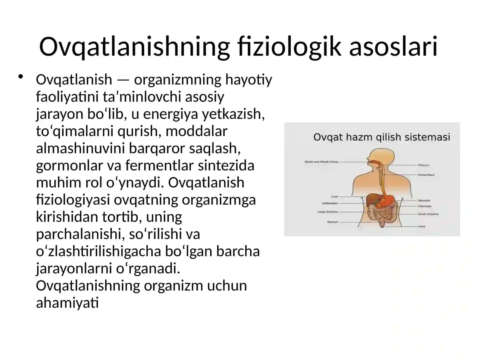 Ovqatlanishning fiziologik asoslari. Hazm tizimning motor faoliyati va boshqarilishi. Og’iz bo’shlig’i va medada ovqat hazm bolishi 4