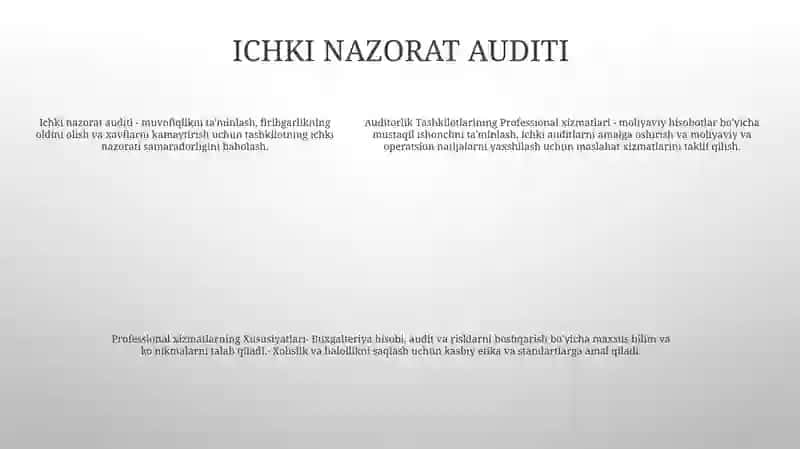 Auditorlik Tashkilotlarining Proffesional Xizmatlari 4