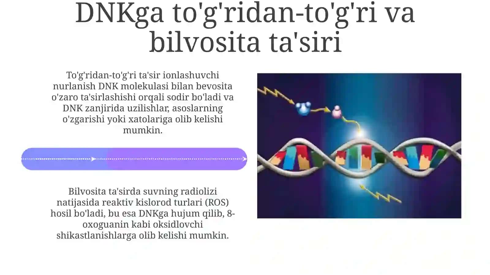 Ionlashtiruvchi radiatsiyaning ta’sir mexanizmi 4