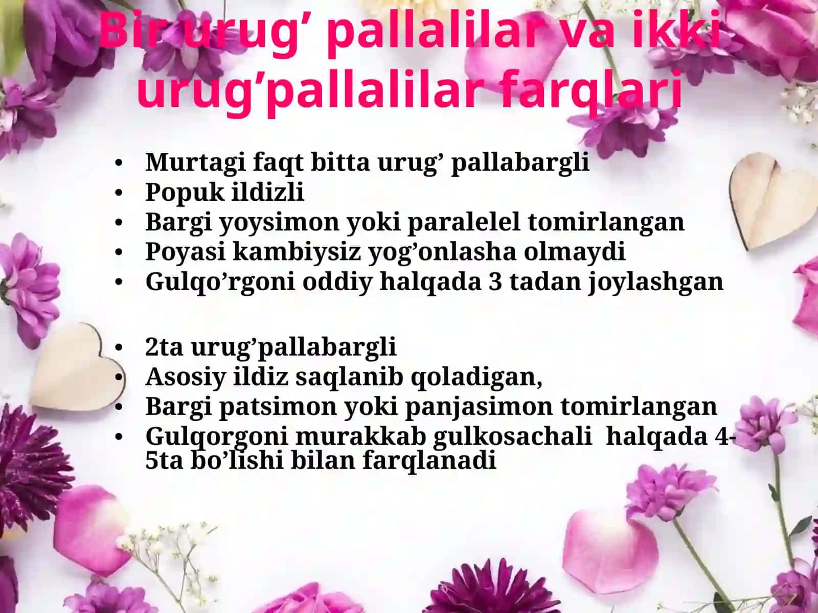 Bir urug’ pallali o’simliklar sinfining umumiy harakteristikasi. 4