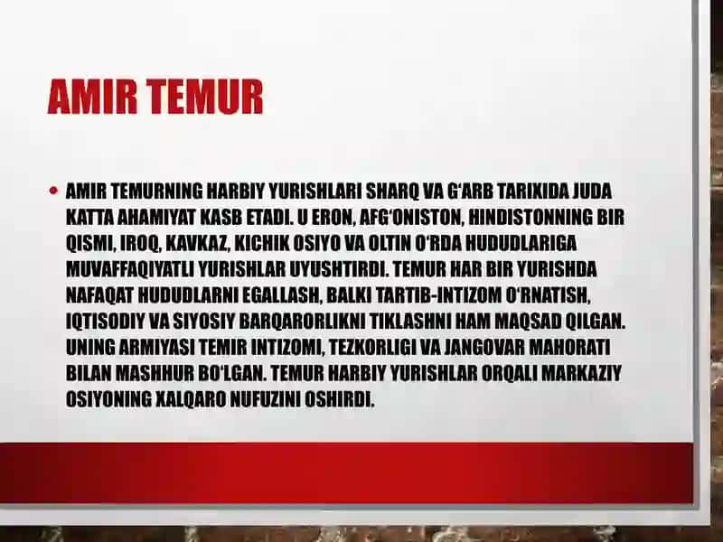 Amir Temur 4
