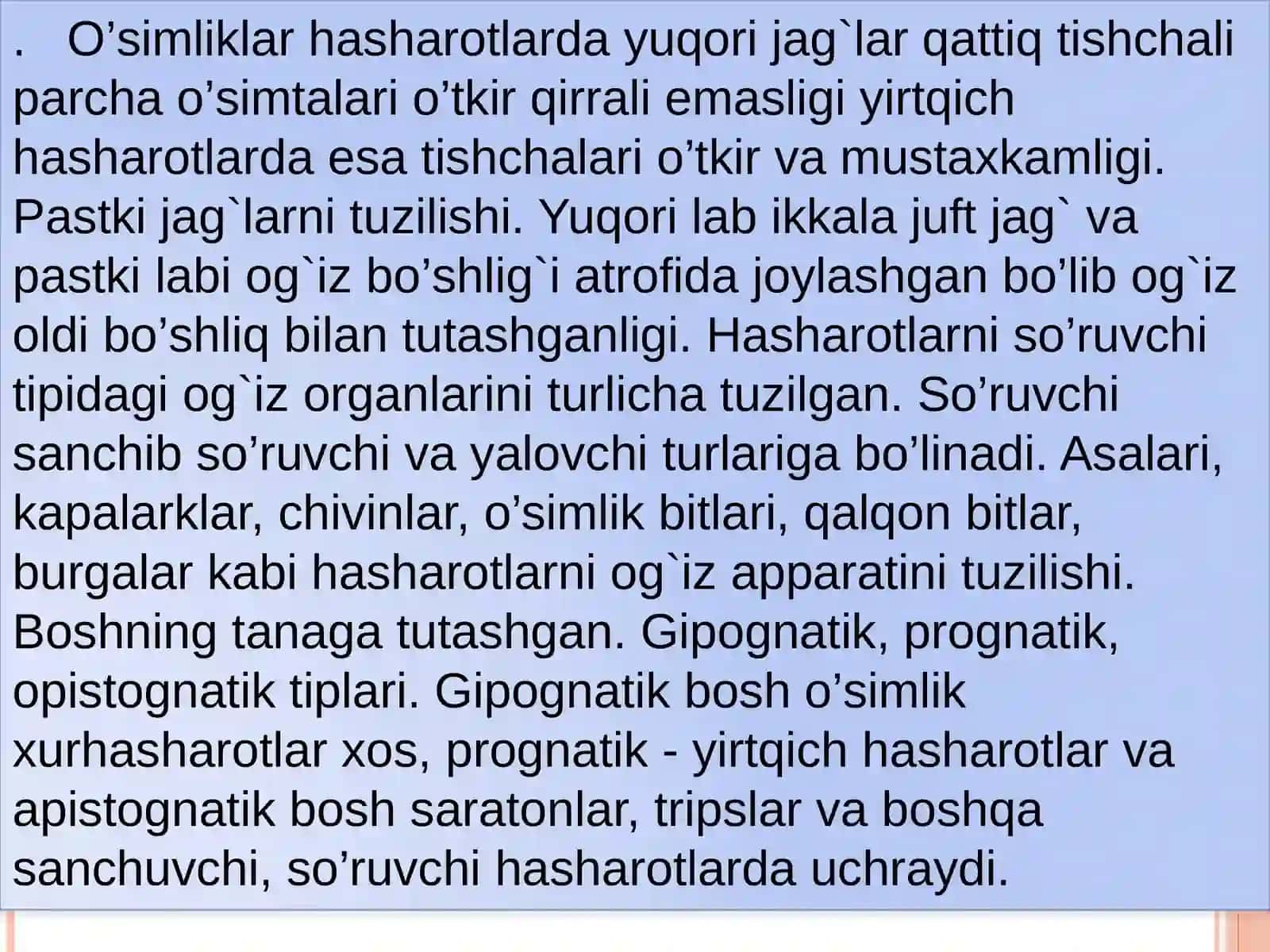 TRAXEYA BILAN NAFAS OLUVCHILAR KENJA TIPI. HASHAROTLAR SINFINING MORFOLOGIYASI. 4