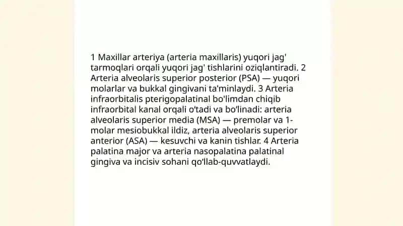 Yuqori jag' tishlarining arteria vena va nerv bilan ta'minlanishi 4