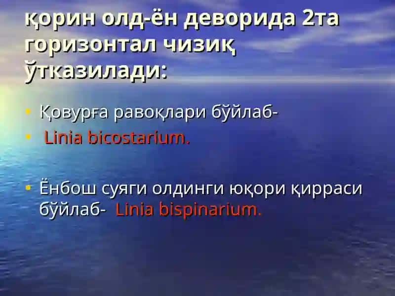 Қорин олд-ён деворининг Клиник Анatомияси 4
