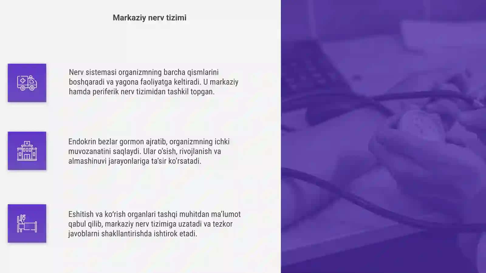Nerv sistemasi 4