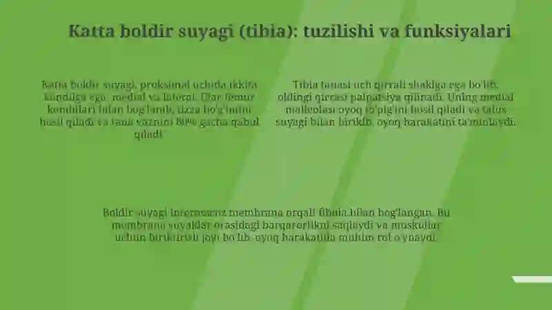 Erkin oyoq suyagi 4