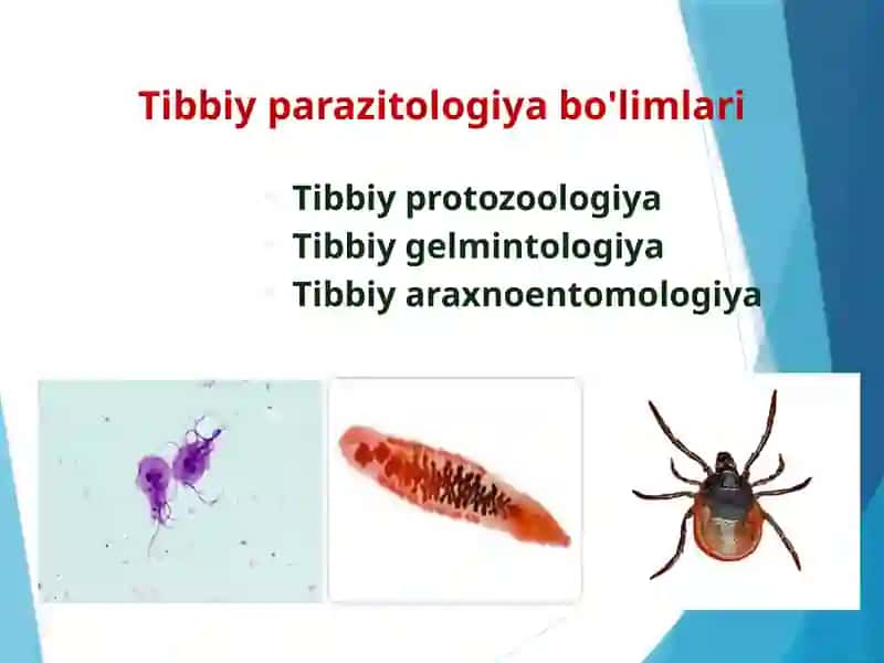 Parazitlar ekologiyasi 4
