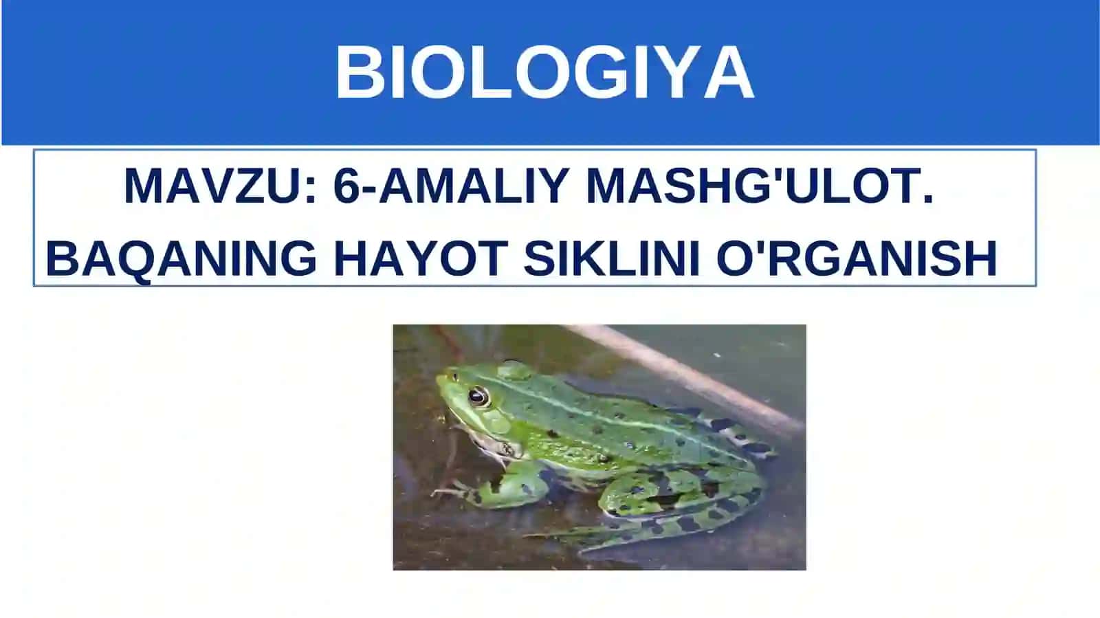 Kerakli jihozlar 4