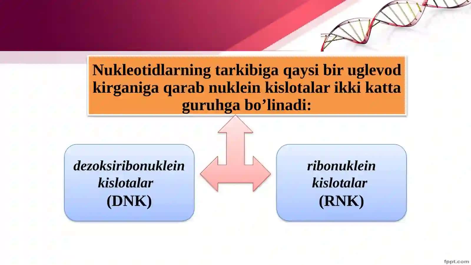 Nuklein kislotalar va irsiy belgilar 4