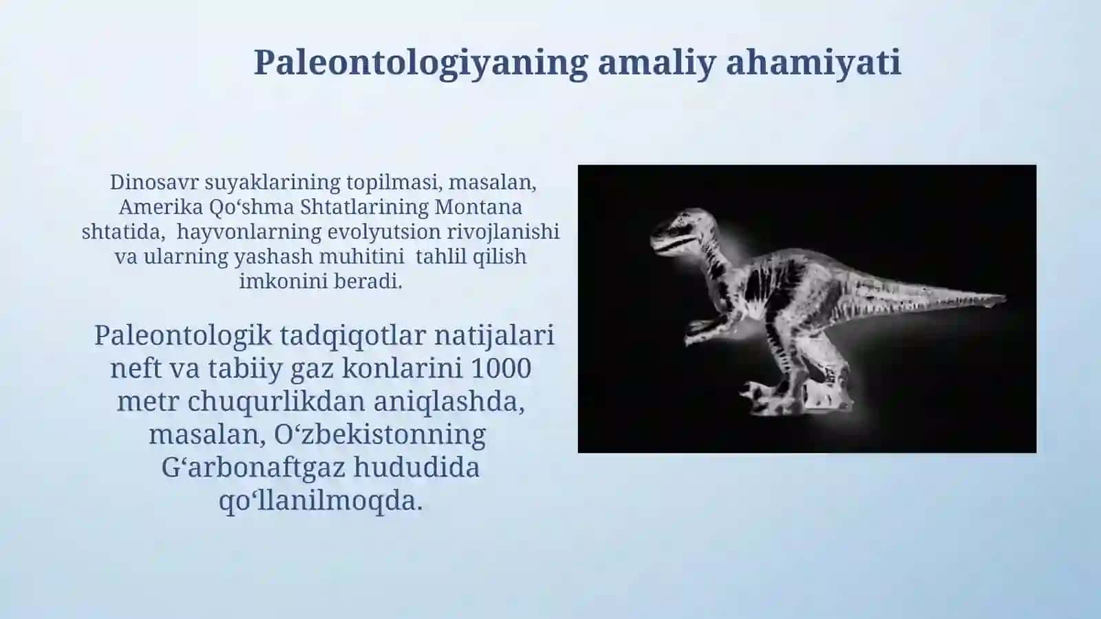 Paleontologiyaning asosiy vazifalari 4