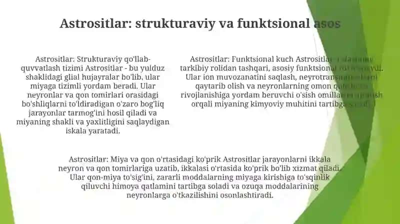 Neyrogliya Hujayralarining Xillari Va Funksiyalari 4