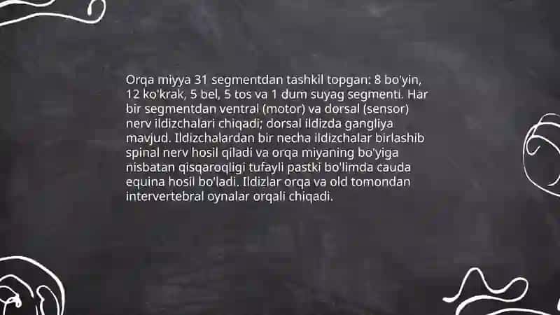 Orqa miyya 4