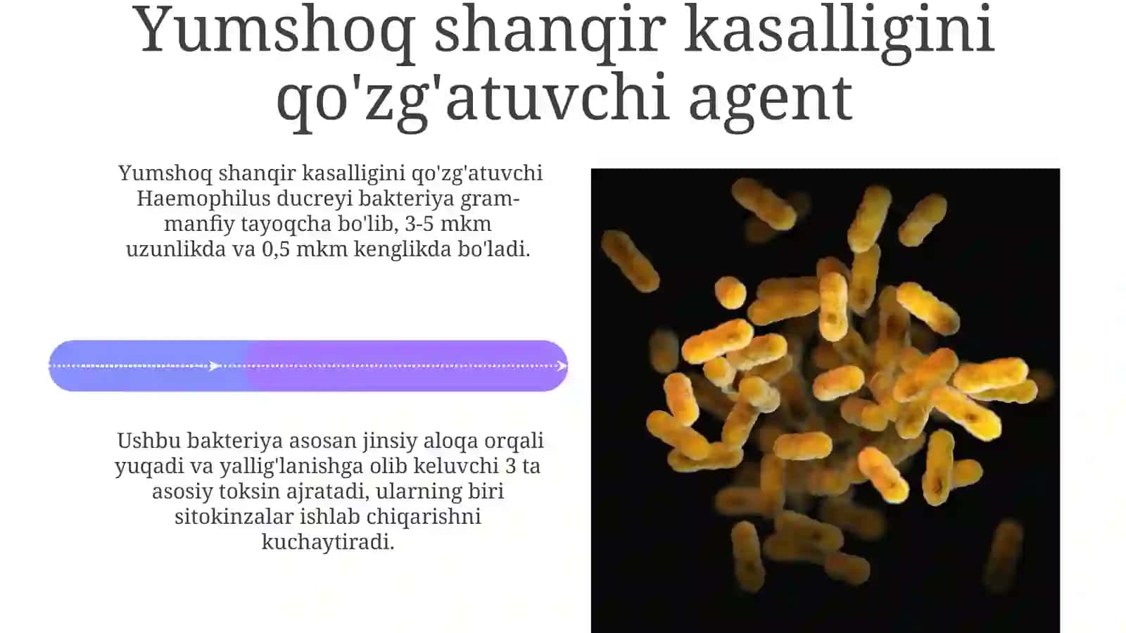 Gemofil bakteriyalari (inflyuensa tayoqchasi, yumshoq shankr qo‘zg‘atuvchisi) 4