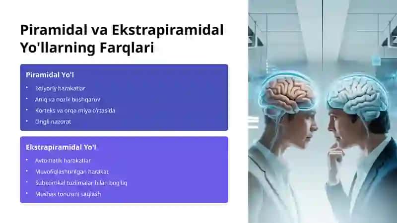 Piramidal va Ekstrapiramidal Yo'llar 4