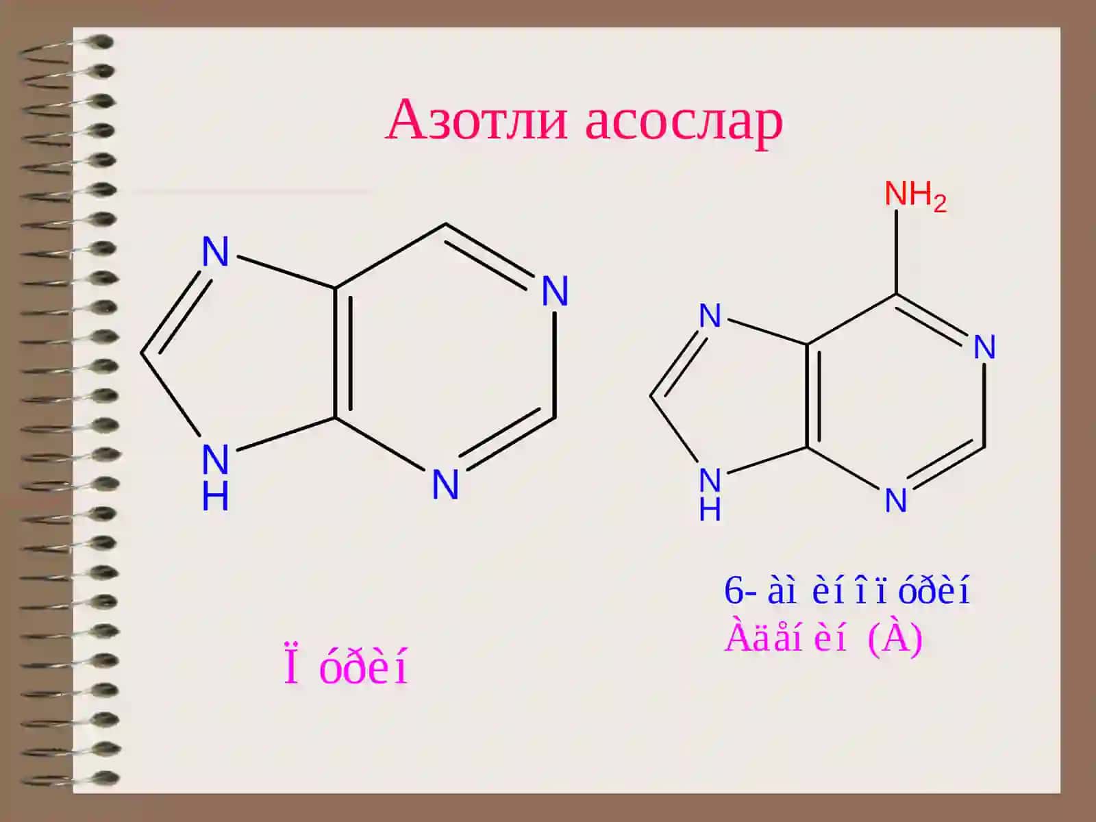 Нуклеин кислоталар 4