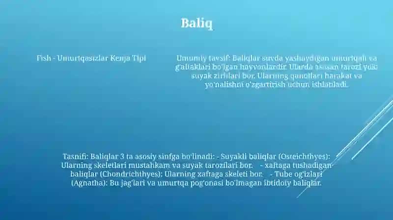 Umurtqalilar Kenja Tipining Umumiy Tavsifi Va Tasnifi 4