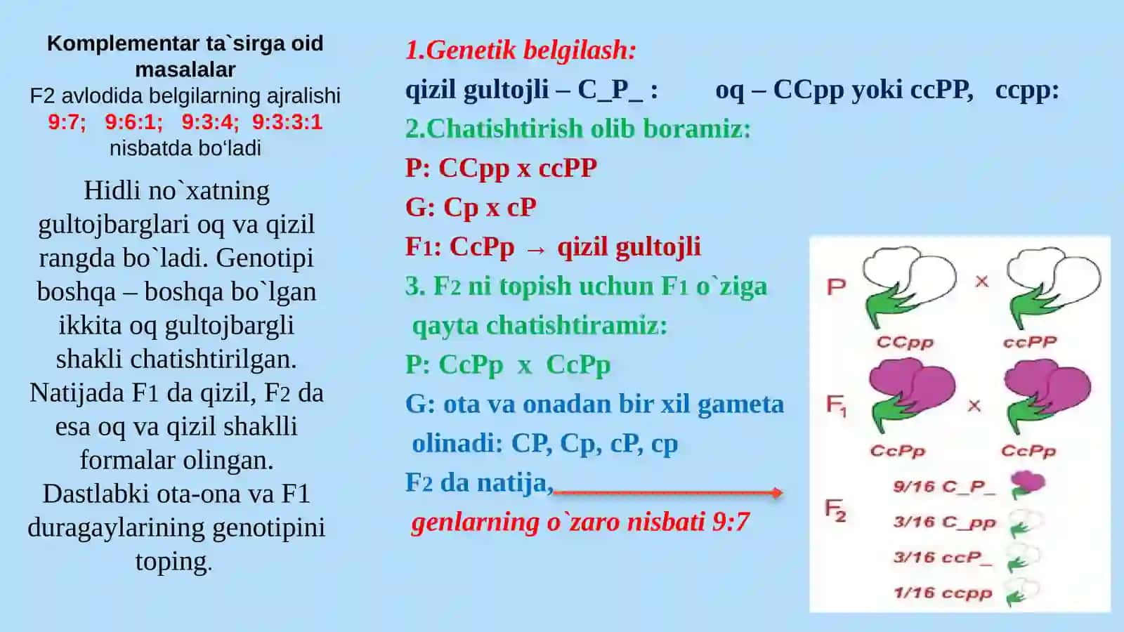 Noallel genlarning o‘zaro ta`siri 4