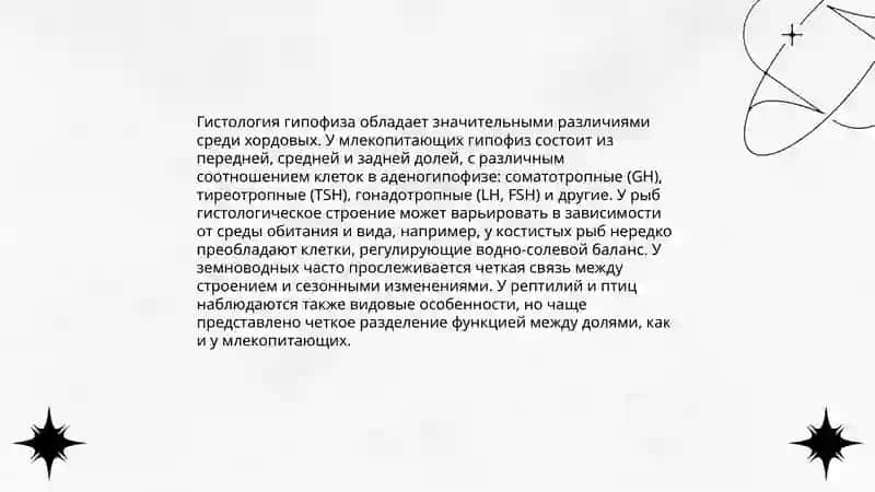 Эволюция гипофиза у хордовых 4