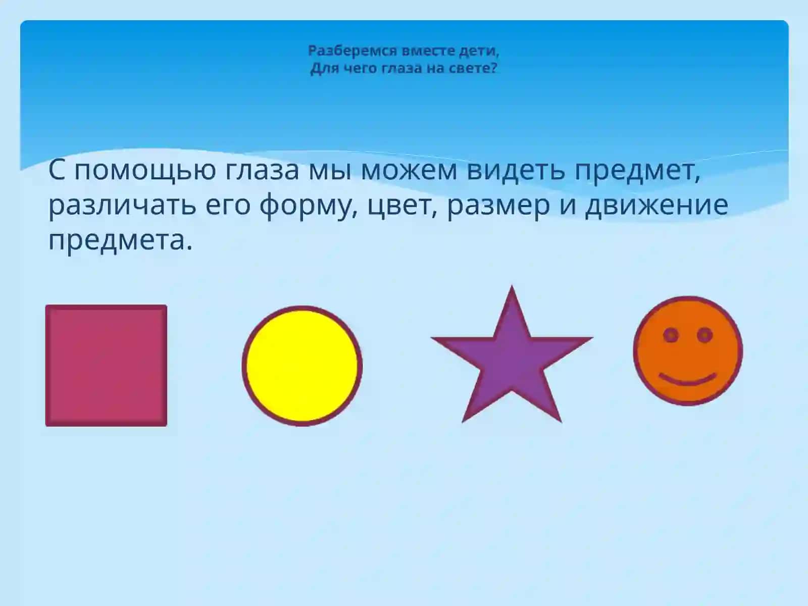 Глаза, строение, гигиена зрения 4