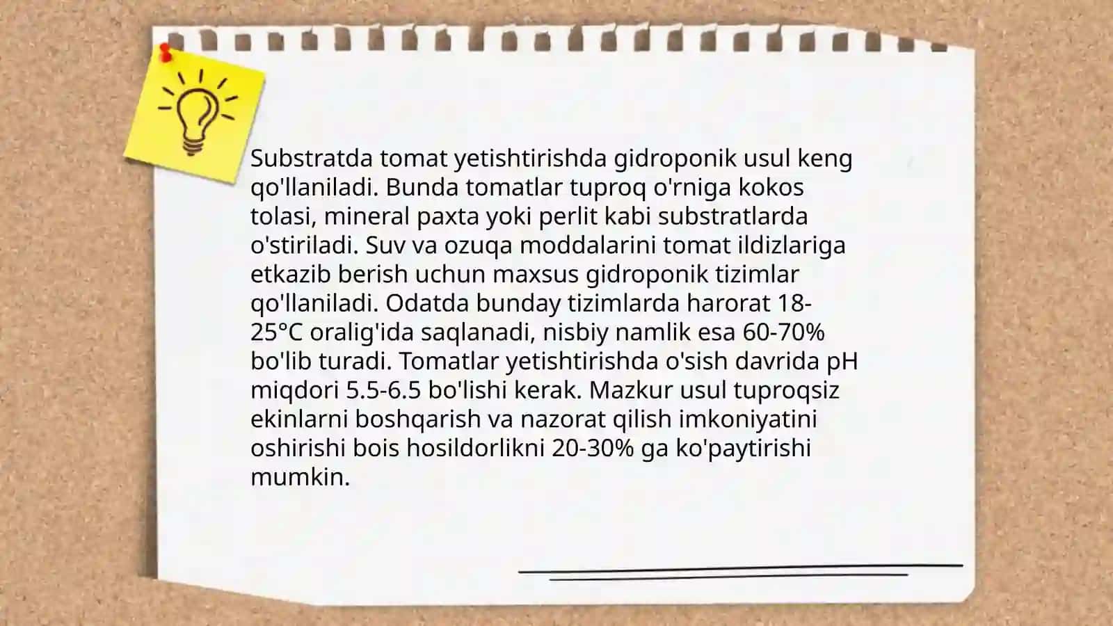 Tomatdosh sabzavot ekinlarini zamonaviy texnologiya asosida yetishtirish 4
