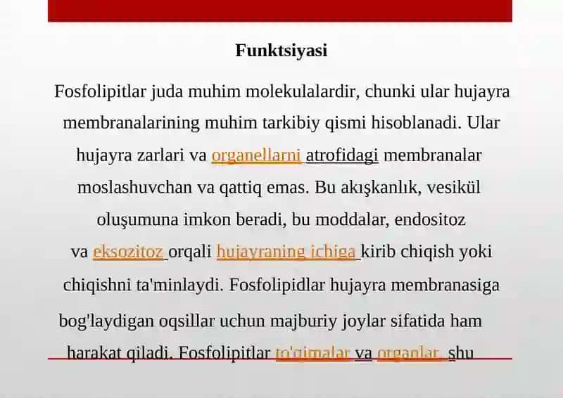 Fosfolipidlar 4
