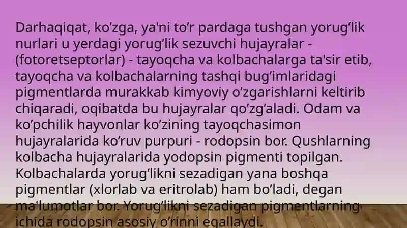 Fotoretseptor hujayralari 4