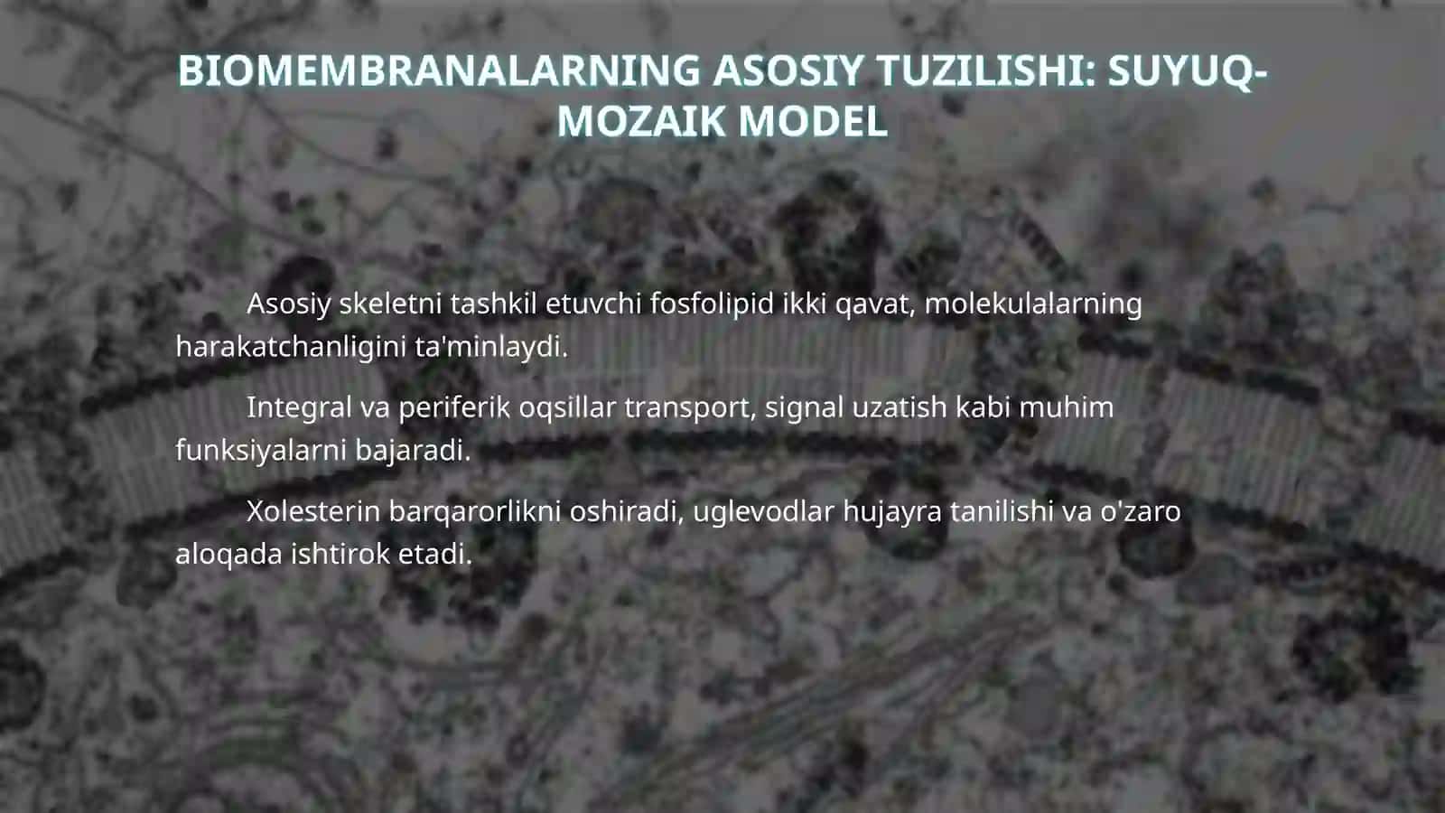 Biomembranalar  tuzulishi. Membrana retseptorlari. Hujayralarga signallarni ótkazish yóllari 4