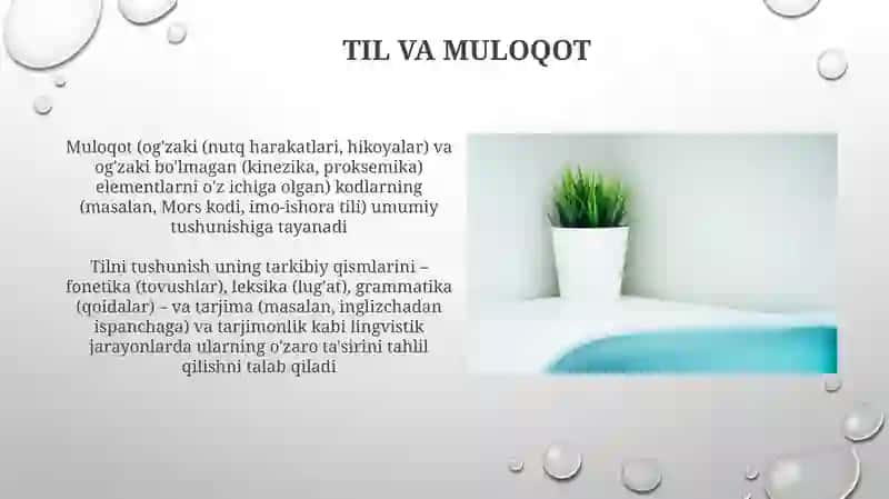 Til va nutq munosabati haqida.(Til tushunchasi haqida aniq tasavvur hosil qilish) 4