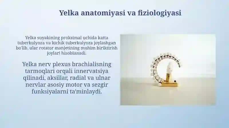 Yelka va sonsuyagichiqishlari 4