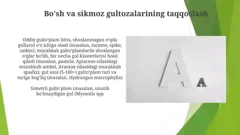 Sodda Catkin: Tuzuilishi va Misollar 4