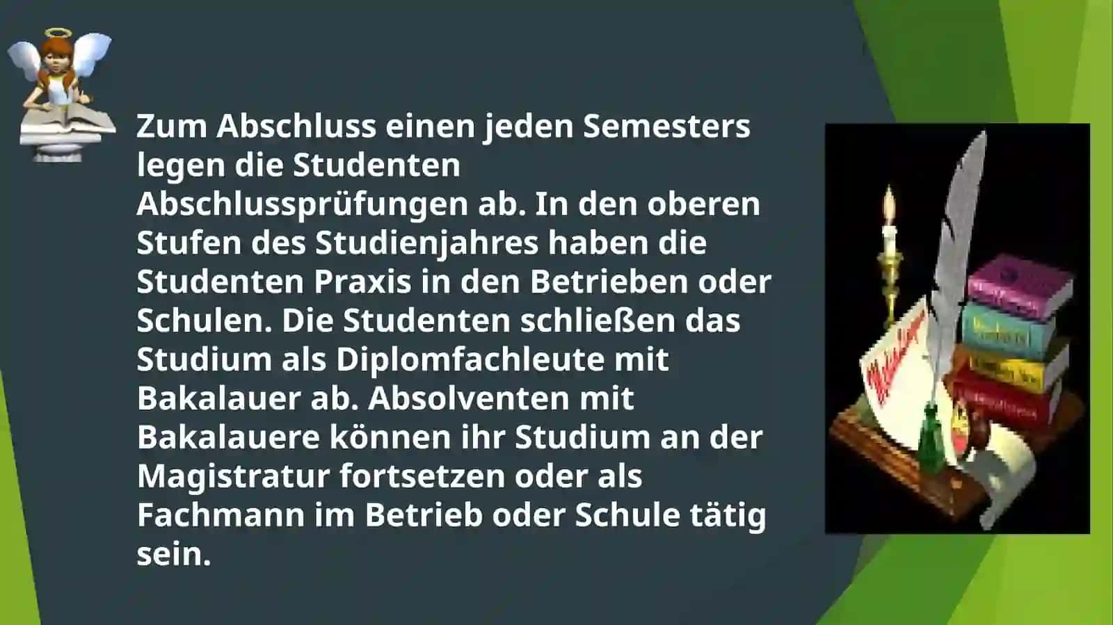 Die Präsentation der Studenten der Gruppe 316 an der Fakultät für Pädagogik 4