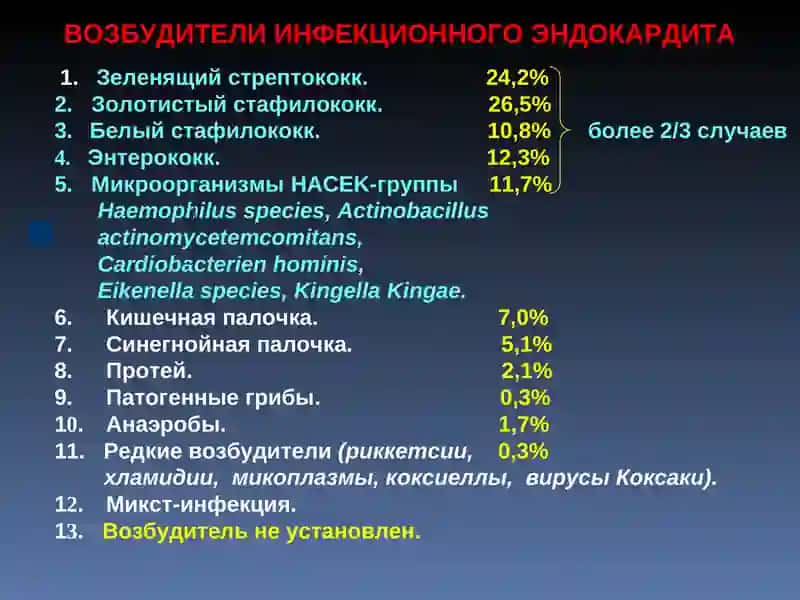 ИНФЕКЦИОННЫЙ ЭНДОКАРДИТ 4