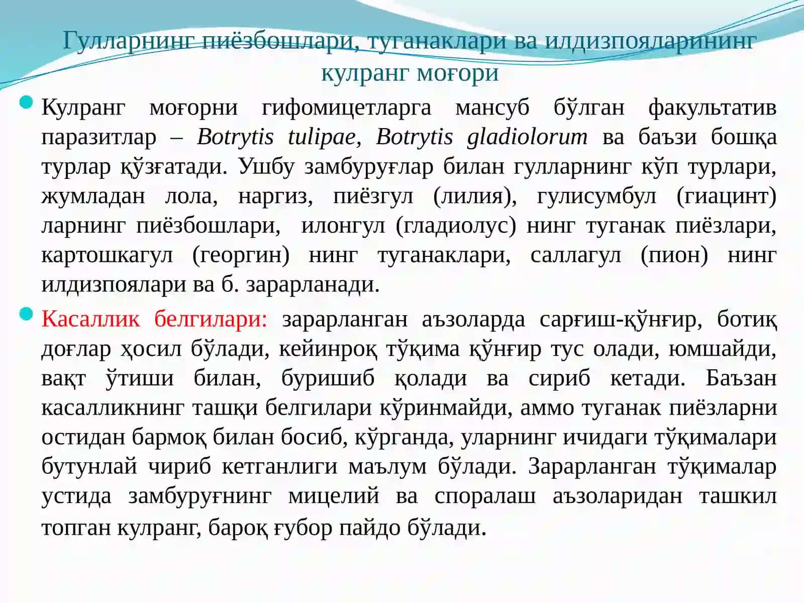 МАНЗАРАЛИ ГУЛЛАР КАСАЛЛИКЛАРИ ВА УЛАРГА ҚАРШИ КУРАШ ЧОРАЛАРИ 4