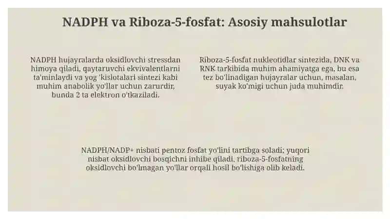 Pentozafosfat yo'lining metabolik jarayonlardagi axamiyati 4