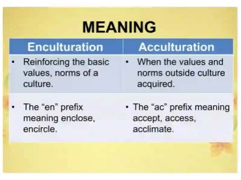 Acculturation and enculturation 4
