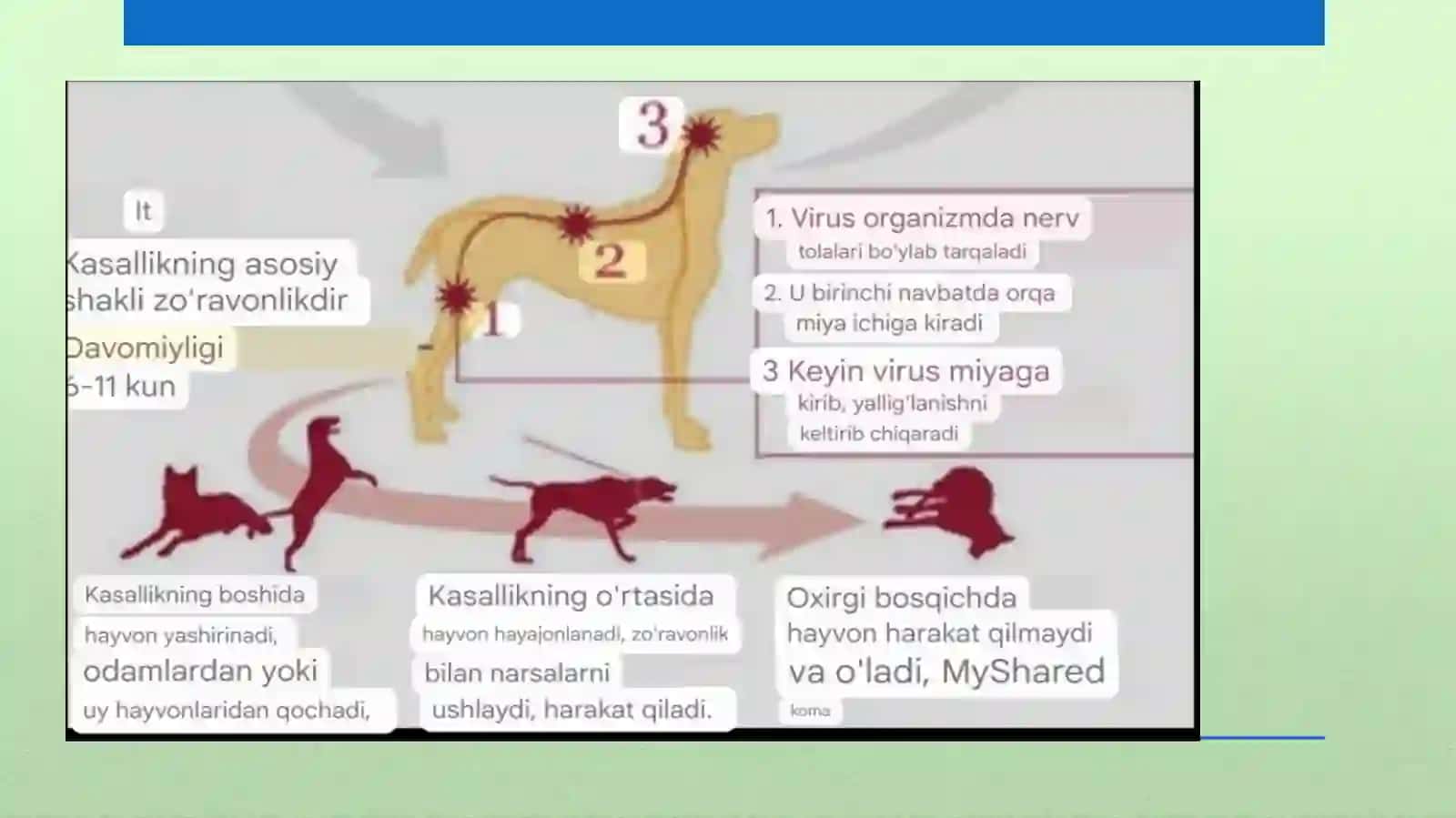 Qutirishkasalligining dunyo yuzi bo’yicha tarqalish ko’rsatkichi 4